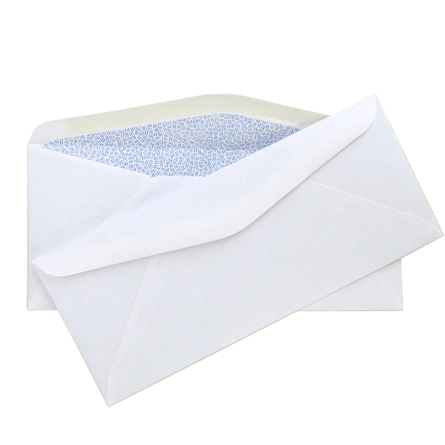 #9 Security Envelope, 3 7/8'' x 8 7/8''